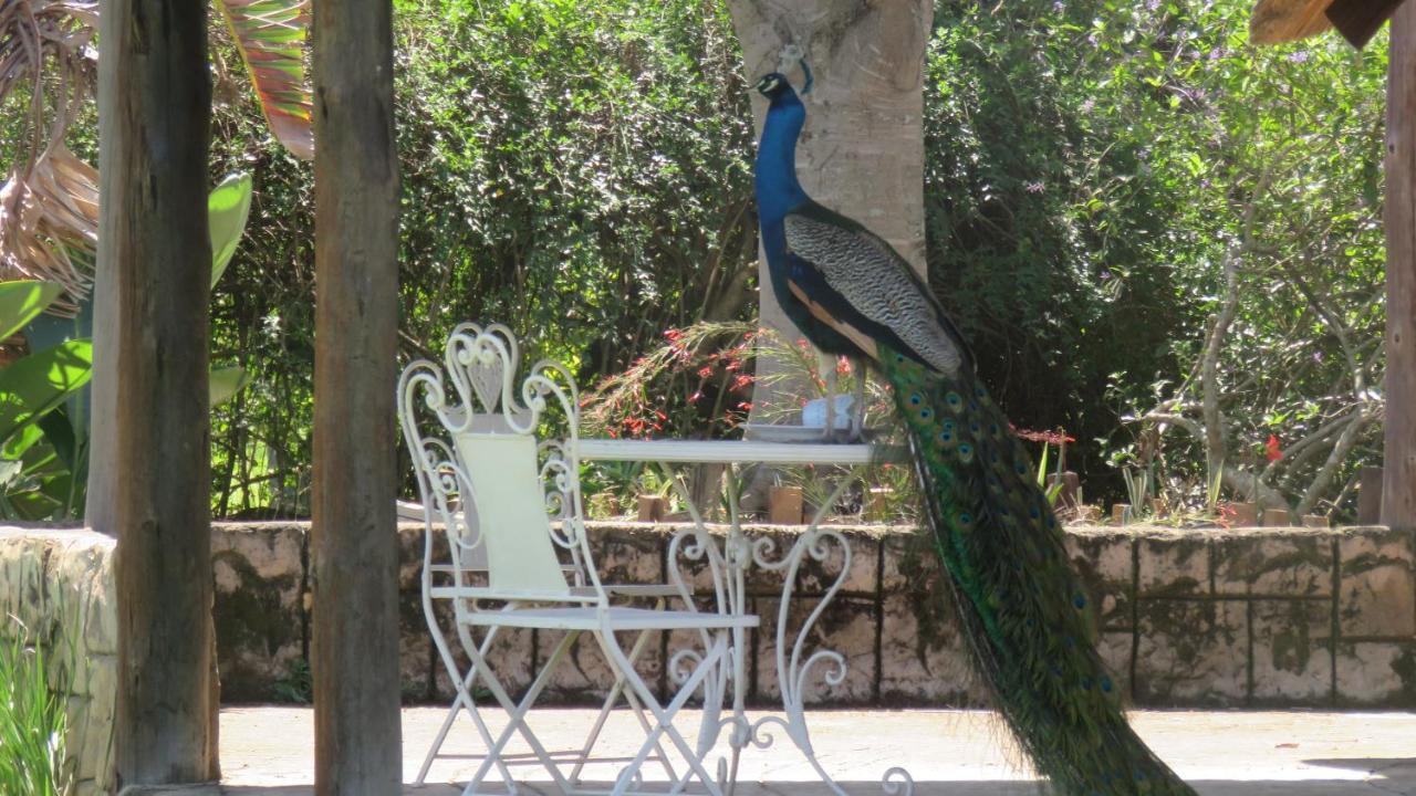Dwaleni Farm Lodge Matsapha Kültér fotó